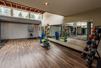 a workout room with weights and mirrors in a home gym